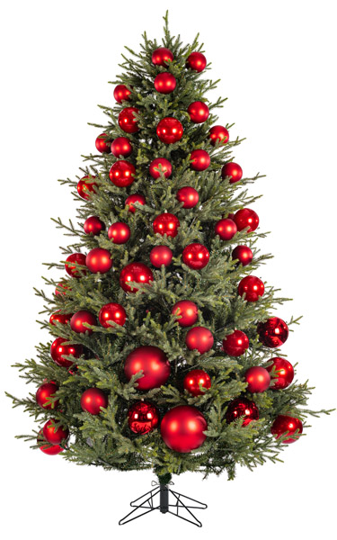 Illustration of a tree at the coverage you have entered