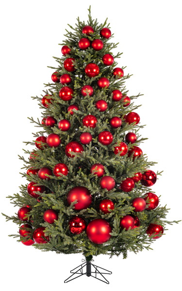 Illustration of a tree at the coverage you have entered
