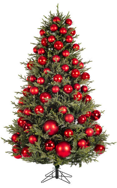 Illustration of a tree at the coverage you have entered