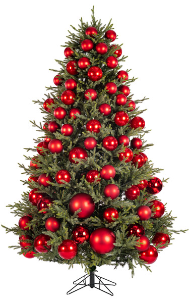 Illustration of a tree at the coverage you have entered