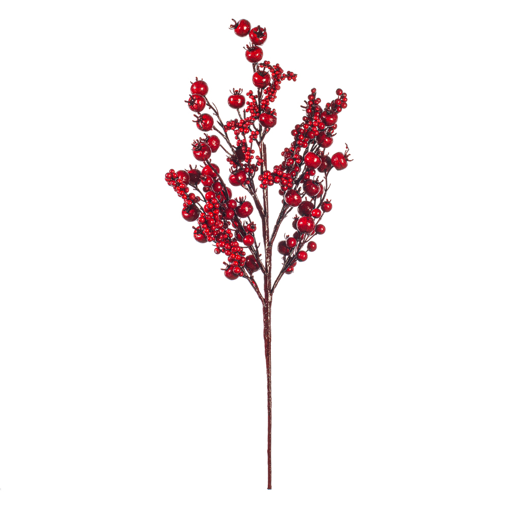 Vickerman Cluster Berry Spray