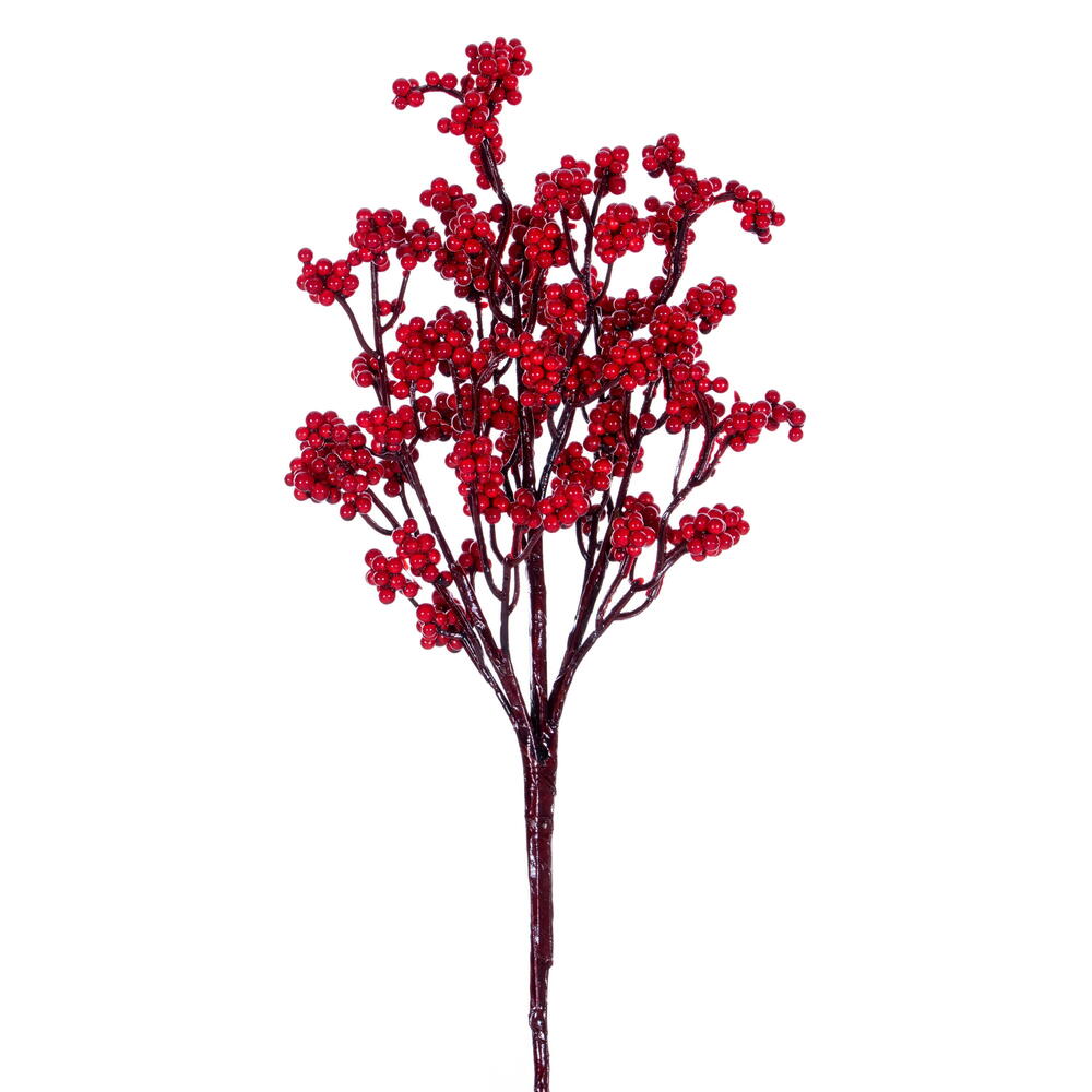 Red Petite Cluster Berry Pick