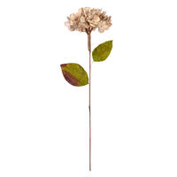 17" Champagne Hydrangea Spray 3/bag