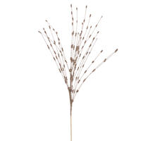 36" Champagne Berry Glitr Spray 6/Bg
