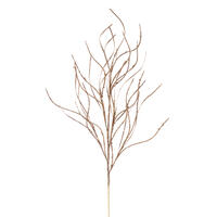 40" Champagne Berry Wavy Glitr Spry 4/Bg