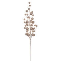 27" Champagne Multi Ball Glitr Spry 4/Bg