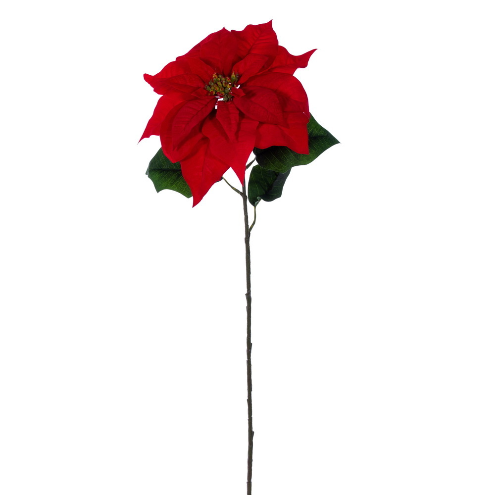 28" Red Holly Poinsettia 13" Flwr 3/Bag