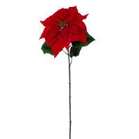 28" Red Holly Poinsettia 13" Flwr 3/Bag