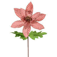 22" Rose Gold Velv Glit Poinsettia 6/Bg
