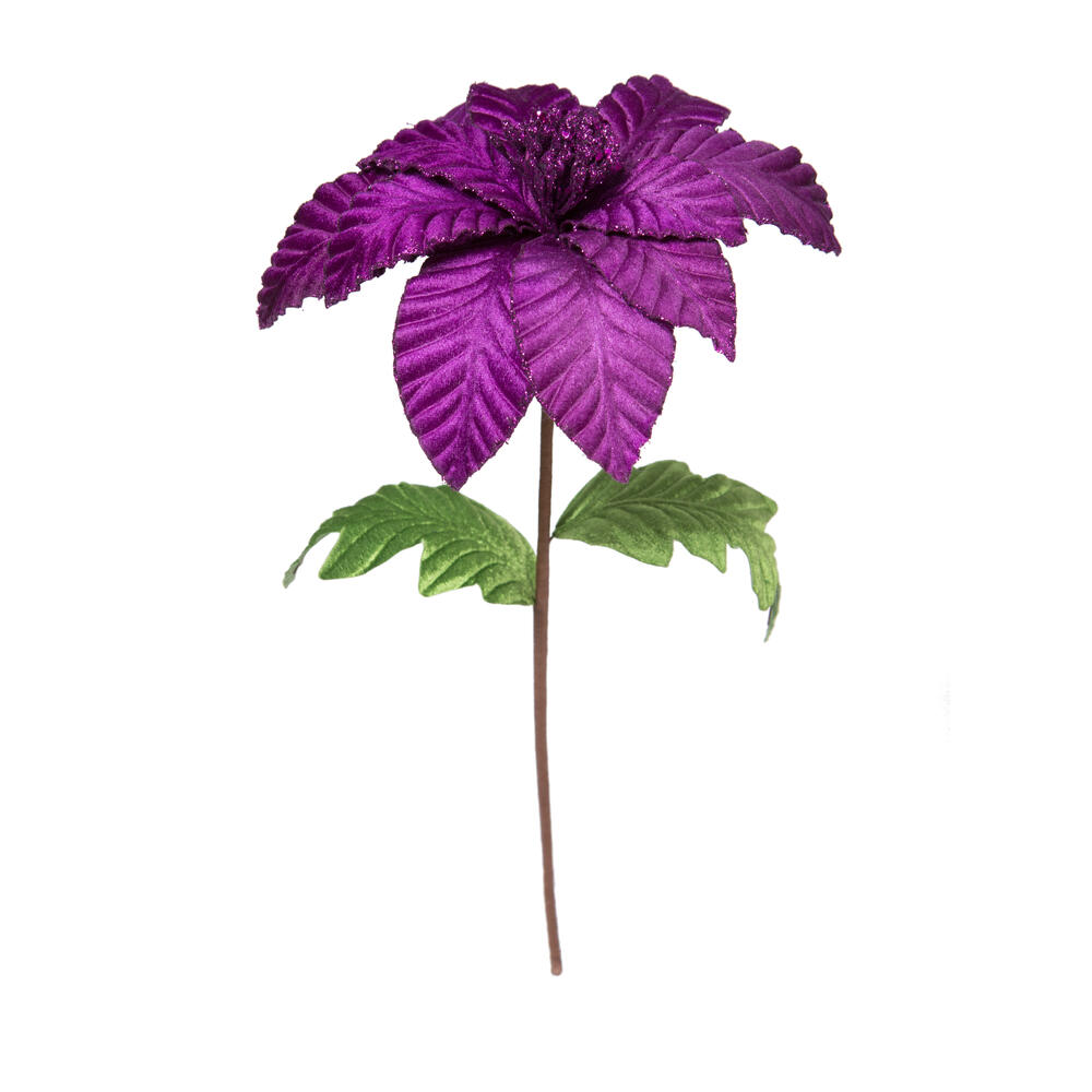 Vickerman 22" Velvet Glitter Trim Poinsettia