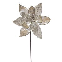 21.5" Champagne Poinsettia 11" Flwr 6/Bg