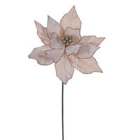 21.5" Champagne Poinsettia 12" Flw 6/Bag