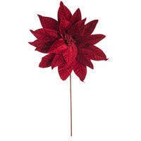 21.5" Burgundy Poinsettia 18" Flwr 2/Bag