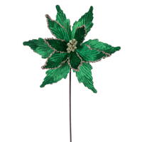 21.5" Mdnt Grn Poinsettia 12" Flwr 6/Bag