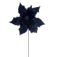 20" Black Velvet Razor 12" Flower 4/Bag