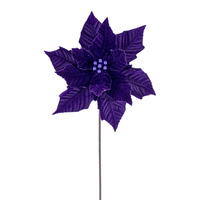 20" Plum Velvet Razor 12" Flower 4/Bag