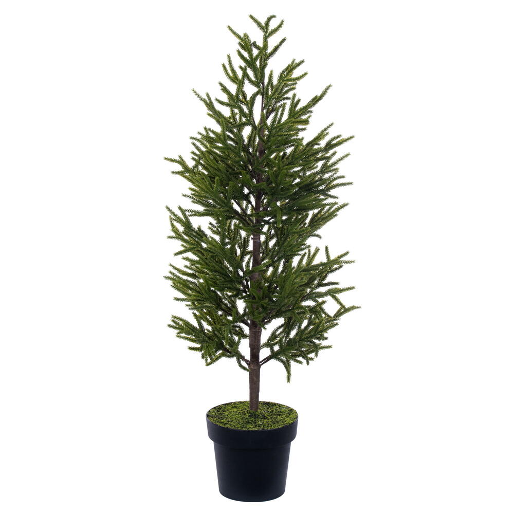 Vickerman Green Norfolk Potted Trees