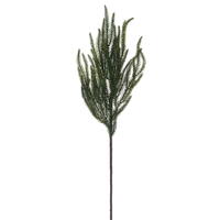 24.5" Green Norfolk Pine Spray 6/Bag