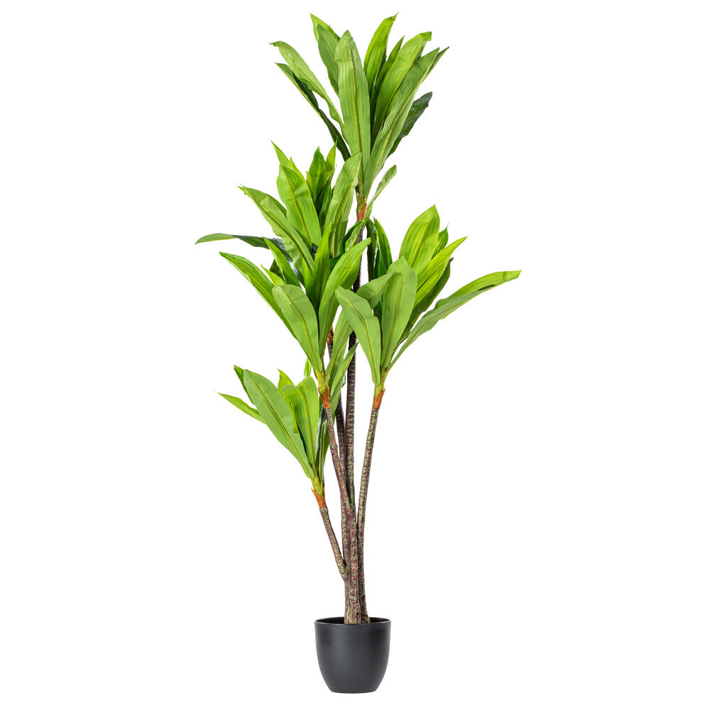 Vickerman 30" Artificial Real Touch Dracaena
