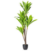 Vickerman 30" Artificial Real Touch Dracaena