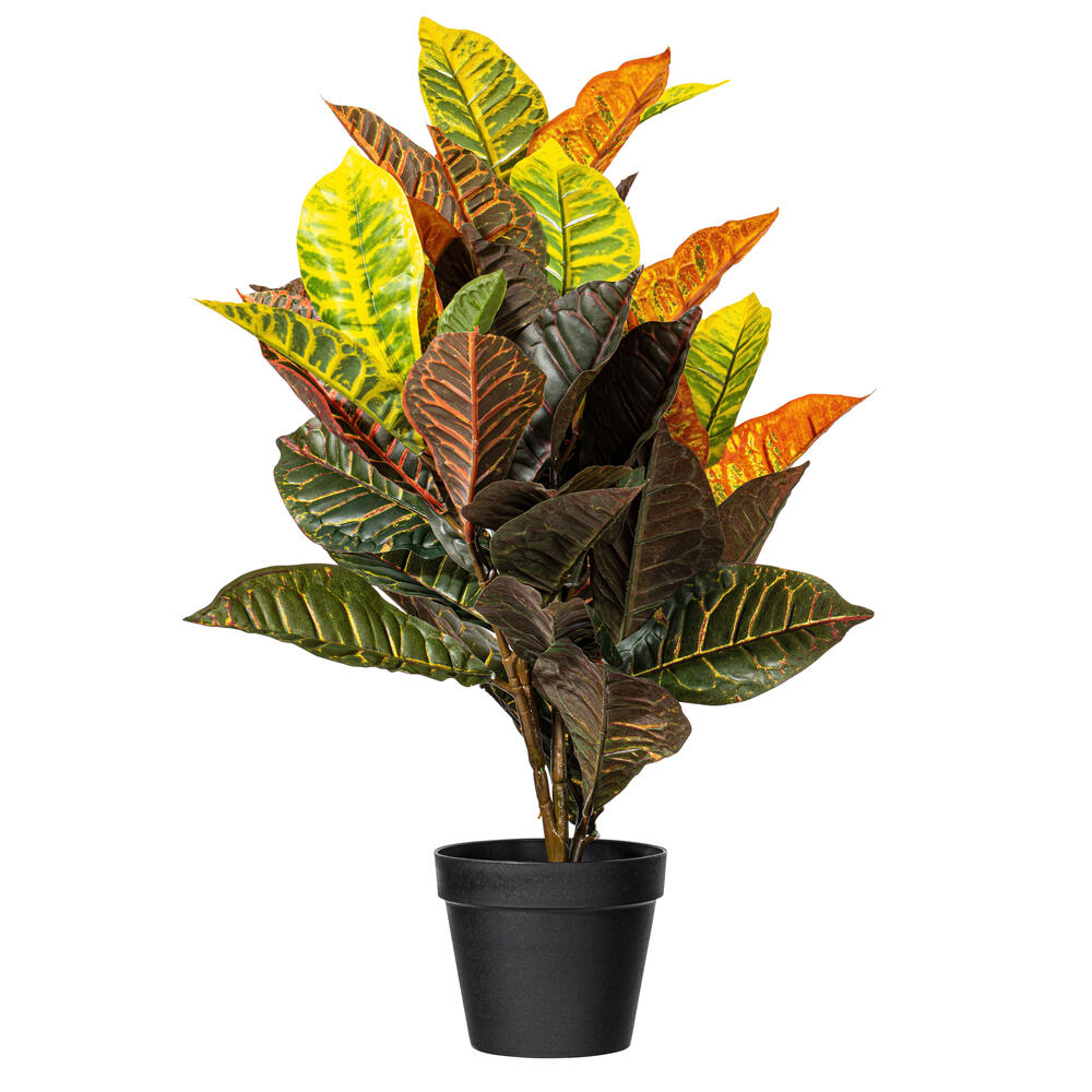 30" Real touch croton  in pot
