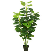 64" Fresh Philodendron w/Pot-Green
