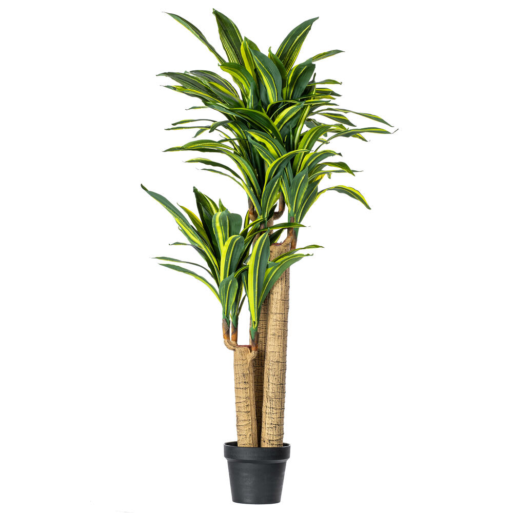 52" RT Dracaena Tree in Black Pot