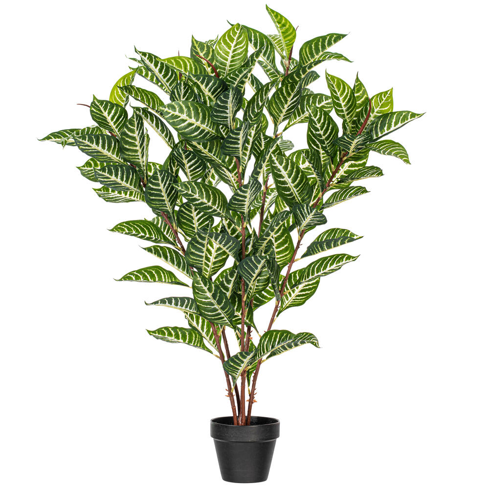 35" Green Zebra in Pot 125 Lvs Real Tch