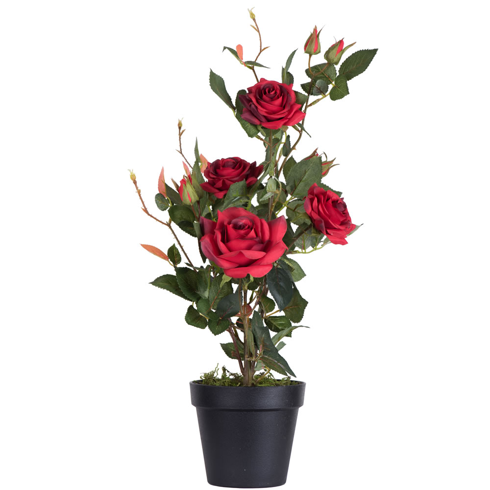 Vickerman 21" Artificial Rose Plant in Pot