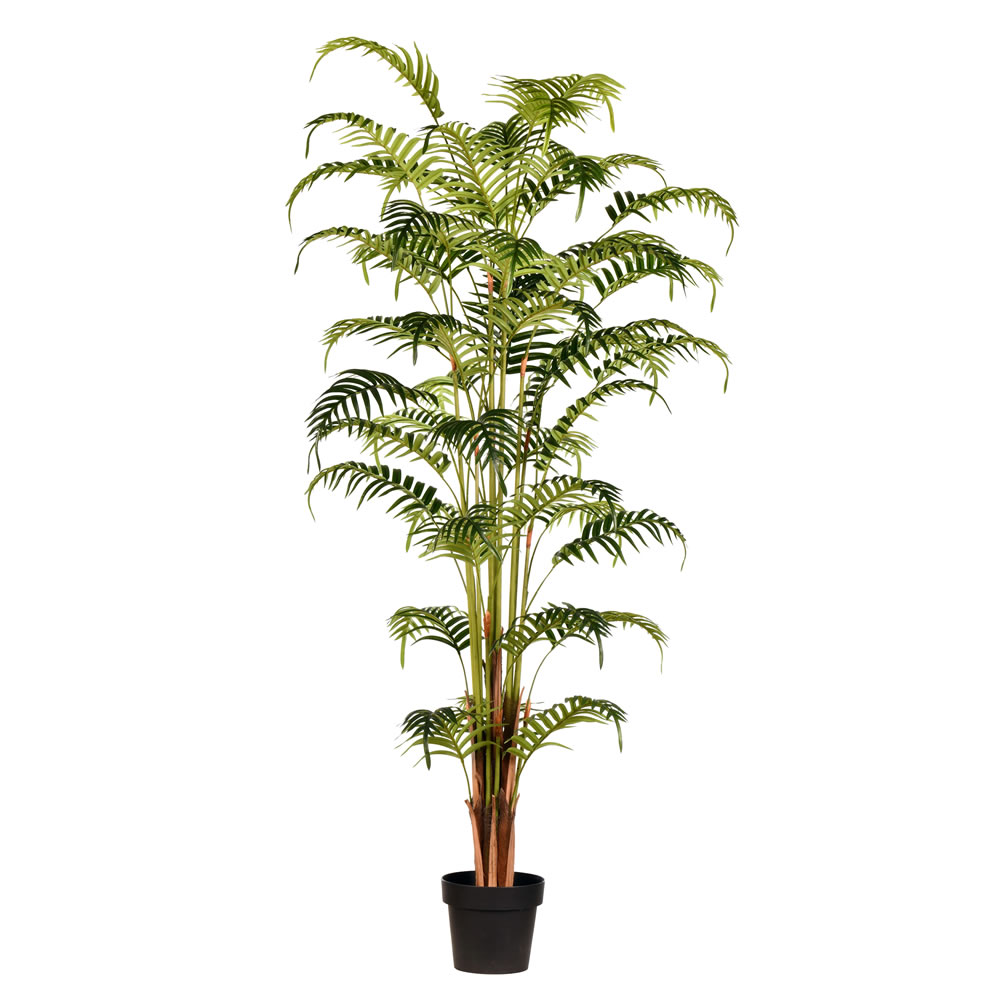 Vickerman Artificial Potted Fern Palm with Real Touch Leaves