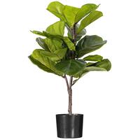 Vickerman Green Fiddle Leaf Plant, Black Pot. 