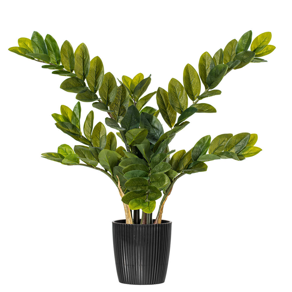 Vickerman Potted Green Zamifolia Bush