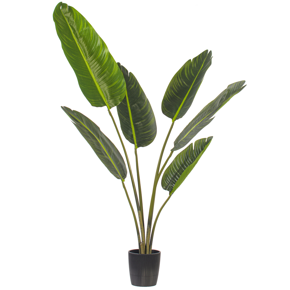 Vickerman Artificial Potted Travellers Palm Tree