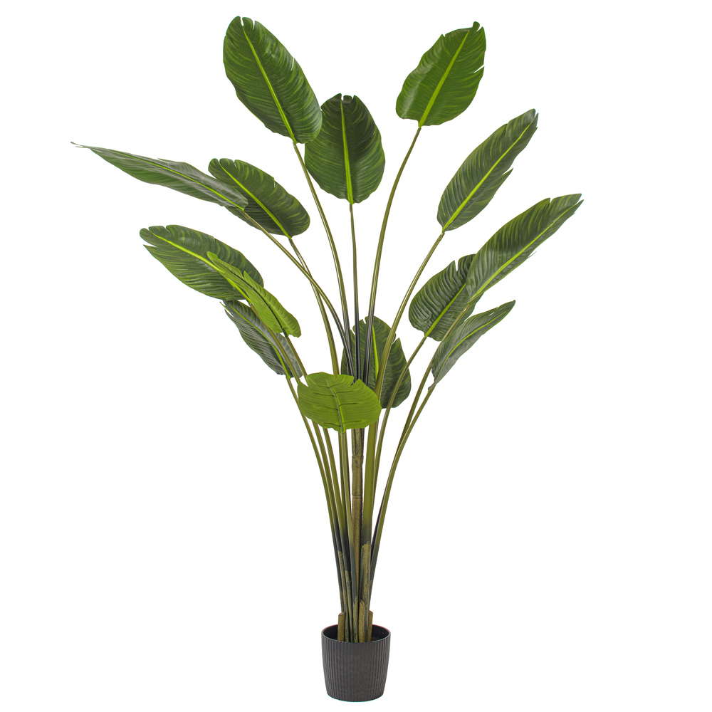 Vickerman Artificial Potted Travellers Palm Tree
