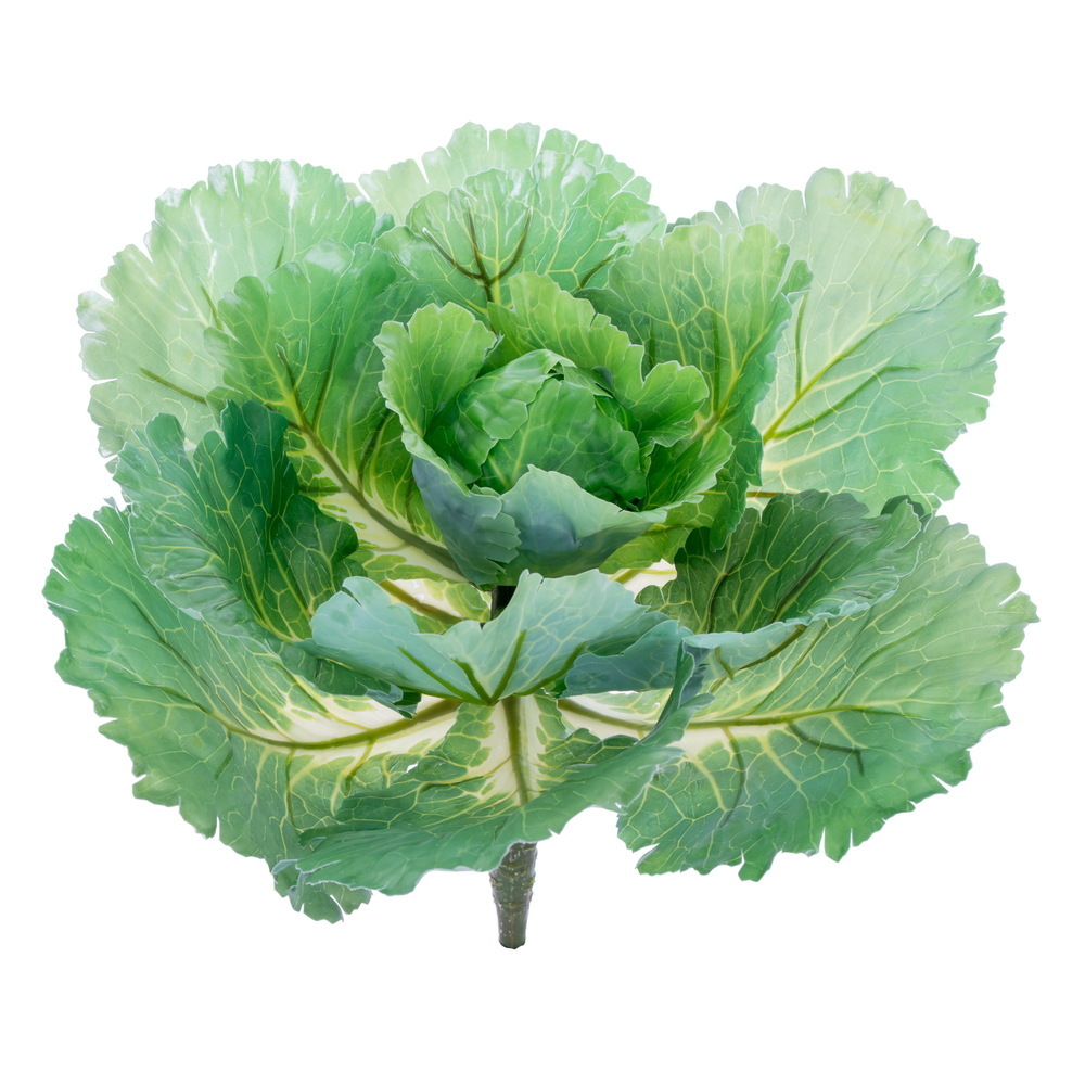 Vickerman 10" Artificial Cabbage Stem