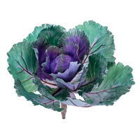 Vickerman 10" Artificial Cabbage Stem
