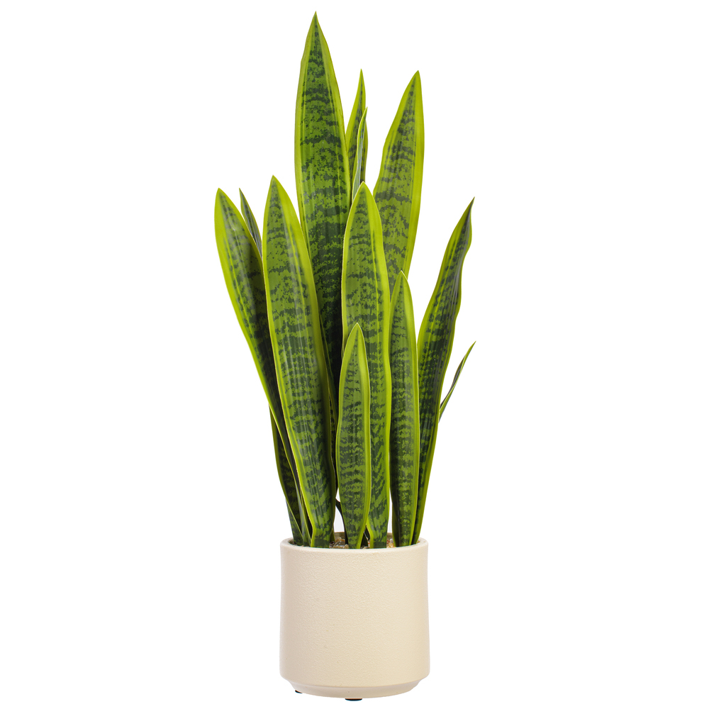 Vickerman Sansevieria Snake Potted Plant