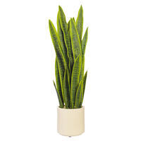 Vickerman Sansevieria Snake Potted Plant