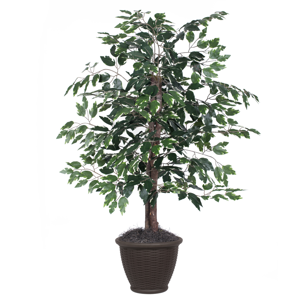 Vickerman Artificial Variegated Ficus Series