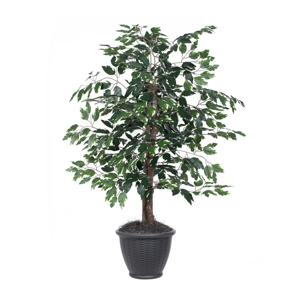 Vickerman Artificial Variegated Ficus Series