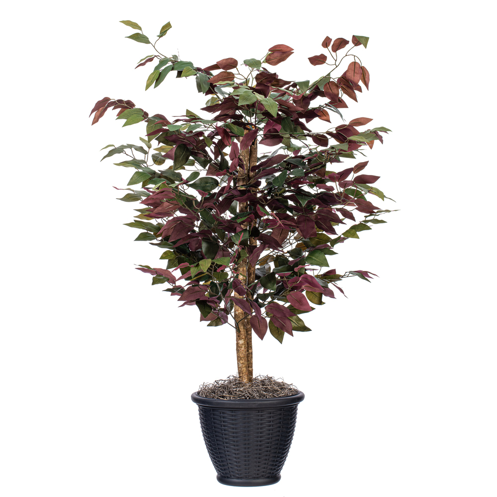 Vickerman Artificial Capensia Deluxe Potted Tree