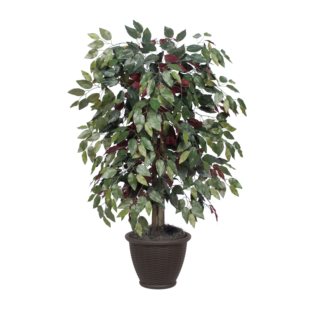 Vickerman Artificial Capensia Deluxe Potted Tree