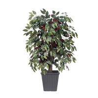 4' Capensia Bush Square Gray Container