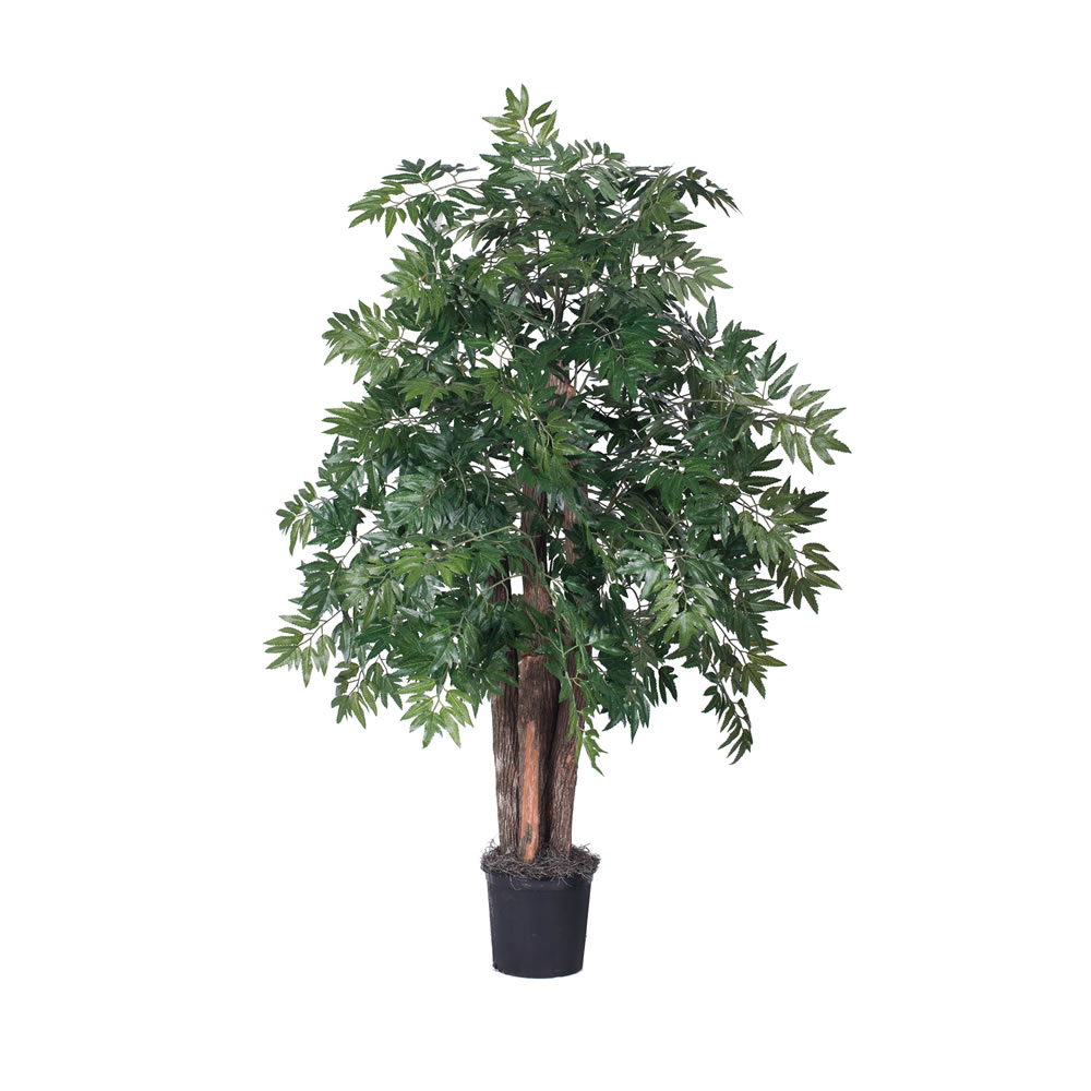 Vickerman Artificial Ming Aralia Bush