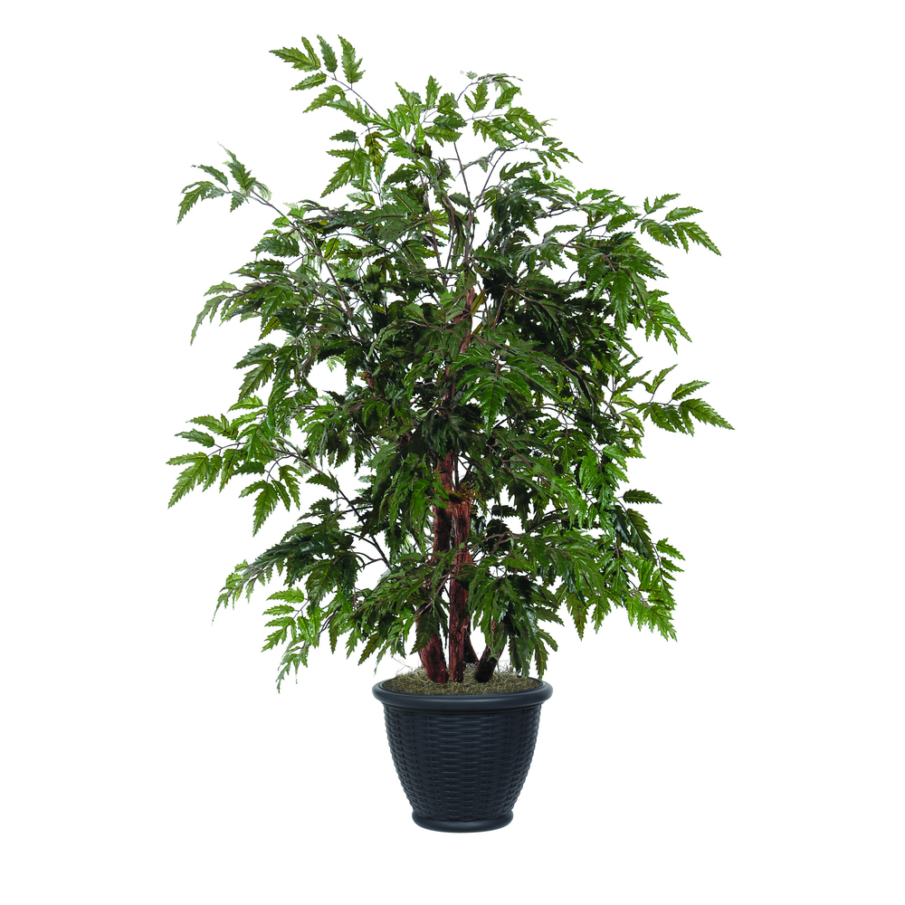 Vickerman Artificial Ming Aralia Bush