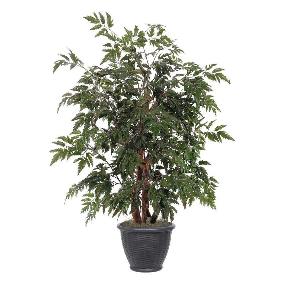 Vickerman Artificial Ming Aralia Bush