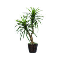 Vickerman Artificial Marginata Tree