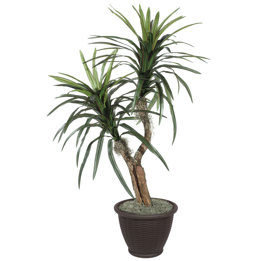 Vickerman Artificial Marginata Tree
