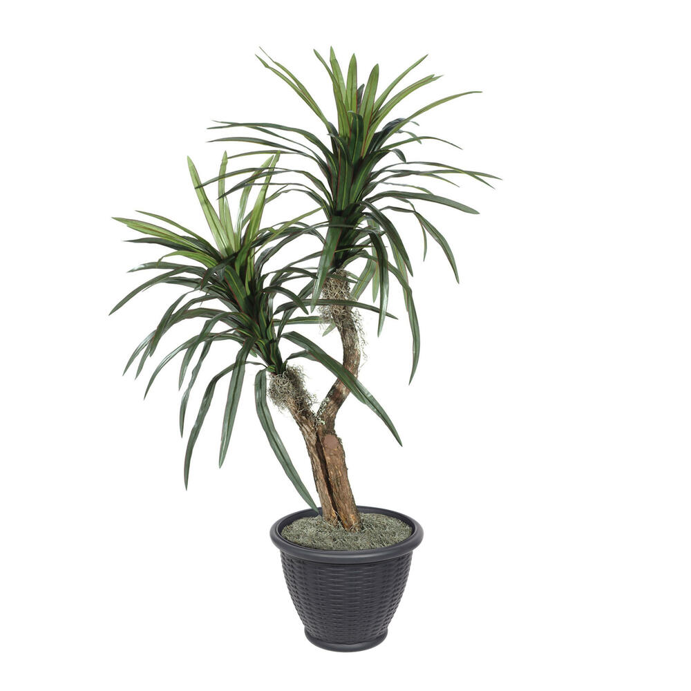 Vickerman Artificial Marginata Tree