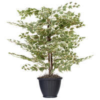 Vickerman Artificial Silver Maple Series